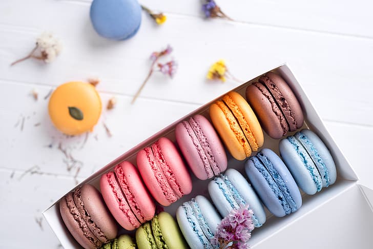 flowers, colorful, cakes, sweet, dessert, cookies, french, macaron, macaroon, HD wallpaper