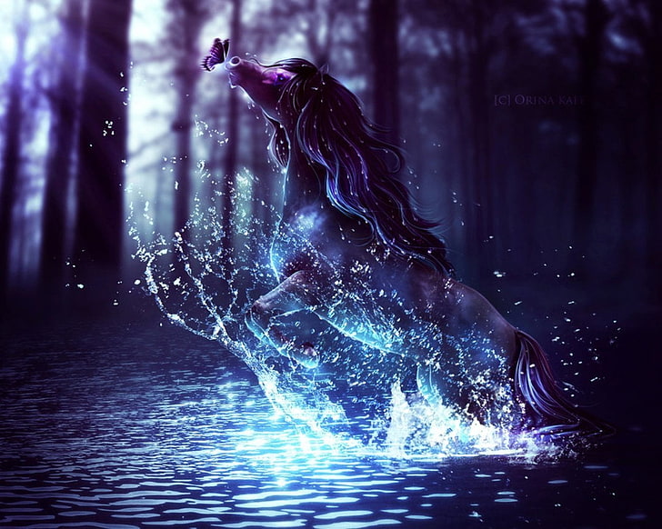purple and black horse on body of water digital wallpaper, Fantasy Animals, Horse, HD wallpaper