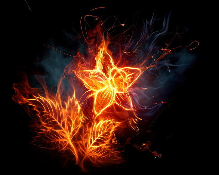 венчелистче цвете пламък тапет, цветя, огън, HD тапет