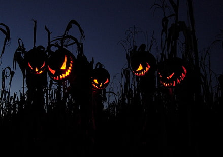 five jack o' lanterns during daytime, Halloween, HD wallpaper HD wallpaper