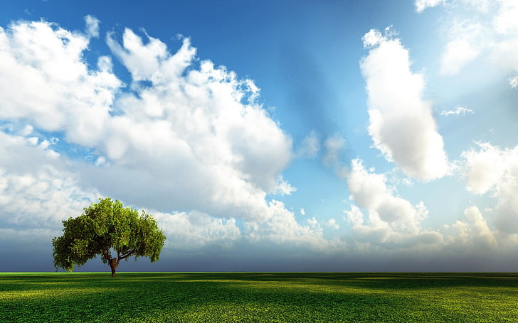 grönt blad, landskap, himmel, träd, moln, HD tapet