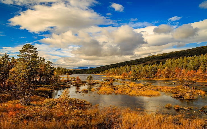 Noruega otoño paisaje, noruega, paisaje, montañas, río, Fondo de pantalla HD