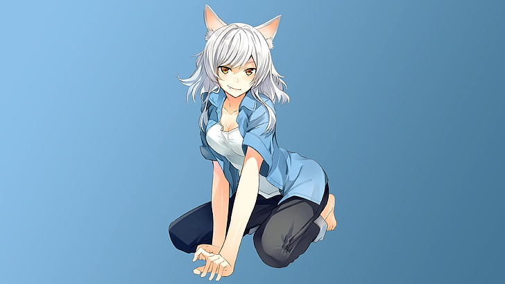 Monogatari Series, Hanekawa Tsubasa, момиче котка, Sawarineko, nekomimi, деколте, HD тапет