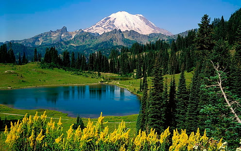 landskap, berg, sjö, natur, träd, Mount Rainier National Park, Mount Rainier National Park, HD tapet HD wallpaper