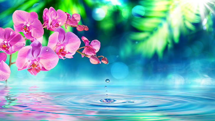 Розовые Цветы Орхидеи Зеленые Лепестки Капли Водные Волны Обои Hd Обои для ПК Планшет и Мобильный Скачать 5200 × 2925, HD обои
