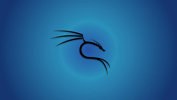 Kali Linux, Backtrack Linux, Linux, niebieskie tło, Tapety HD