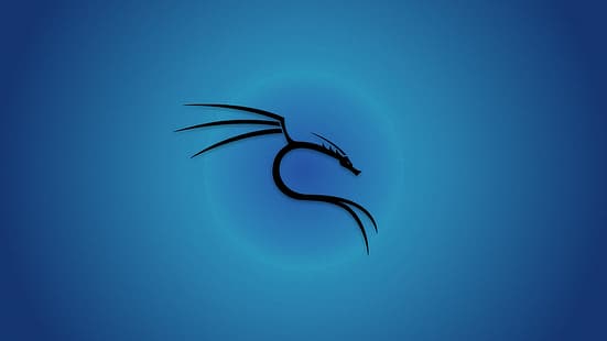 Kali Linux, Backtrack Linux, Linux, blå bakgrund, HD tapet HD wallpaper