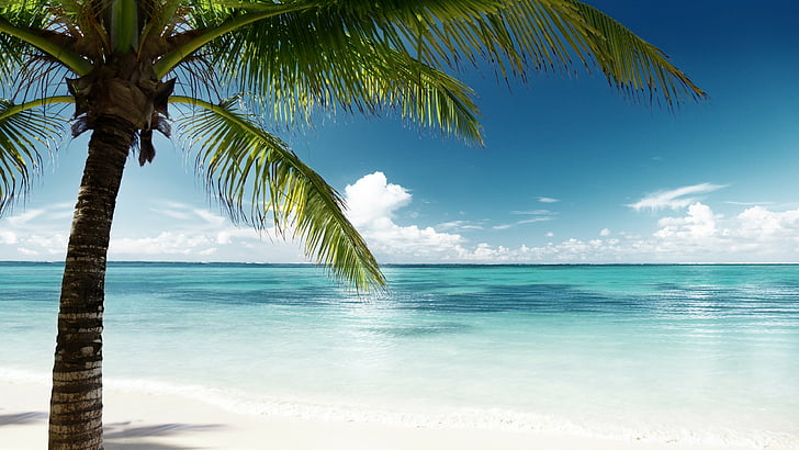休暇、白い砂浜、青い水、青い海、青緑色の水、青緑色、夏、水、ラグーン、木、ビーチ、夏、ヤシ、海、熱帯のビーチ、海岸、熱帯の風景、空、海、熱帯、熱帯、砂浜、 ヤシの木、 HDデスクトップの壁紙