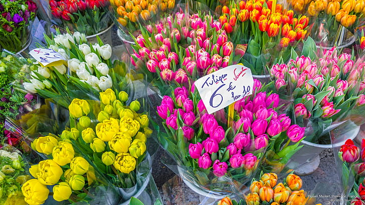 Flower Market, Provence, France, Flowers/Gardens, HD wallpaper