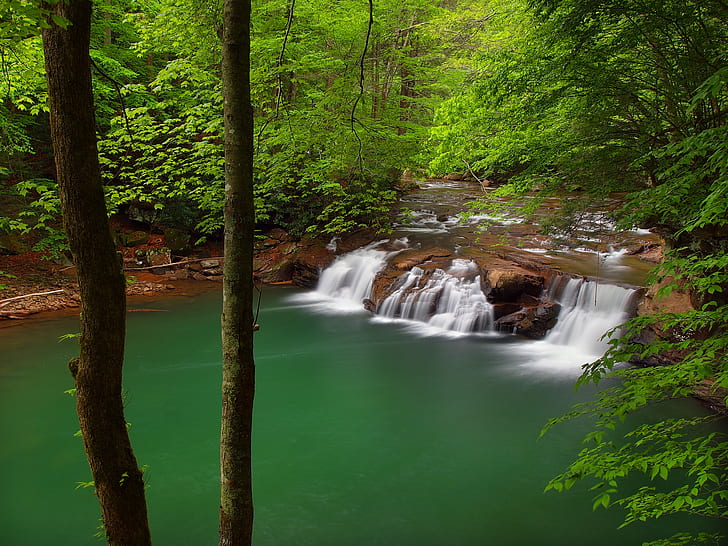 forest, trees, river, waterfall, cascade, West Virginia, New River Gorge National River, New River, river new river, Lower Glade Creek Falls, HD wallpaper