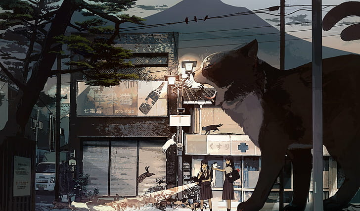 cats, flashlight, night, schoolgirl, street light, anime, HD wallpaper