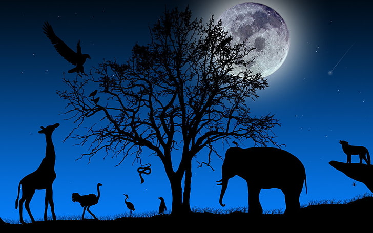 silhouette of animals wallpaper, TREE, The SKY, NIGHT, The MOON, STARS, BRANCHES, ELEPHANT, SNAKE, BIRDS, SHADOW, ANIMALS, SILHOUETTES, LANDSCAPE, WOLF, OSTRICH, DIVERSITY, CROWN, METEORITE, GIRAFFE, LIFE, FORMS, SPIDER, HD wallpaper