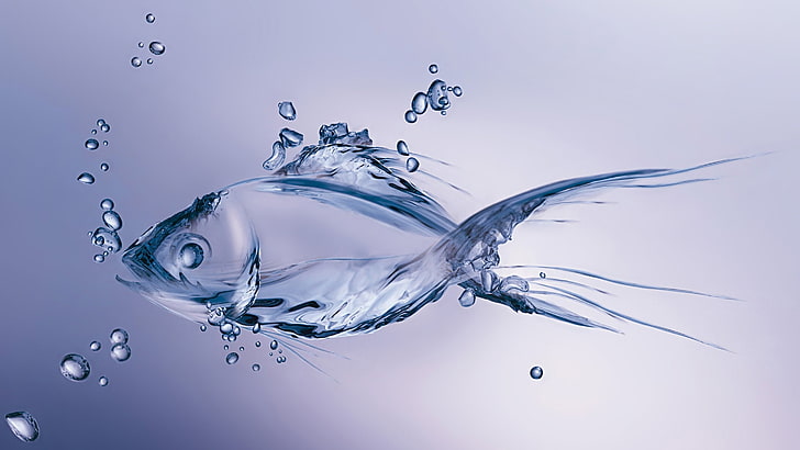 ปลากัดการต่อสู้ปลาประสาทหลอนสยามเขตร้อนใต้น้ำ, วอลล์เปเปอร์ HD