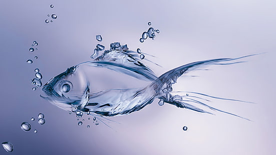 ปลากัดการต่อสู้ปลาประสาทหลอนสยามเขตร้อนใต้น้ำ, วอลล์เปเปอร์ HD HD wallpaper