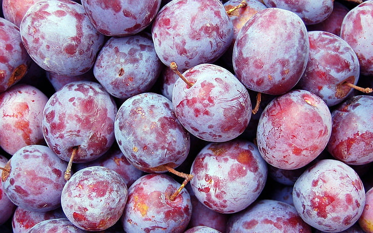 close up, fruits, plum, plums, HD wallpaper