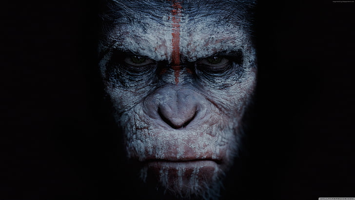 4k, War for the Apes Planet, HD tapet