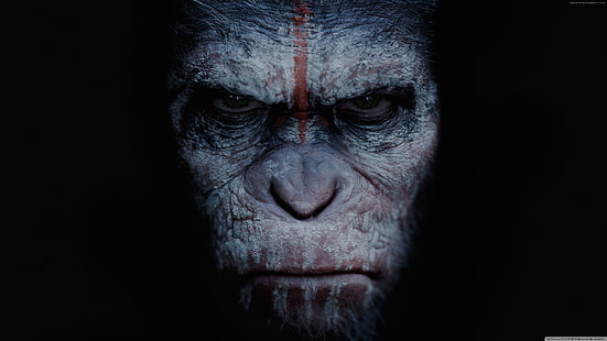 4k, Война за планетата на маймуните, HD тапет HD wallpaper