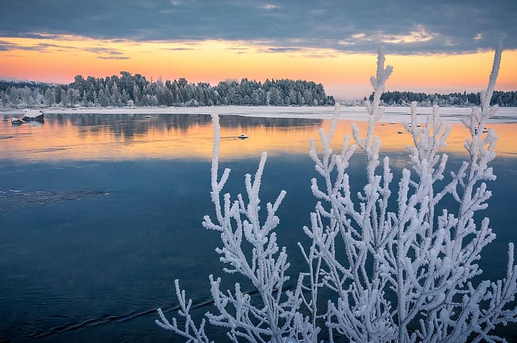 frost, autumn, branches, lake, Sweden, Lapland, November, HD wallpaper