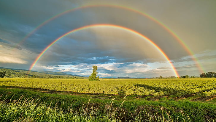 rainbow, double rainbow, sky, field, grassland, countryside, meteorological phenomenon, rural area, grass, sunlight, crop, plain, landscape, HD wallpaper
