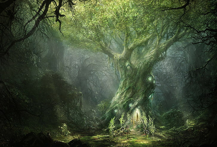 art, fantasy, forest, ilya, in, lord, lotr, Mag, Magical, Nazarov, North, of, rings, sign, the, tree, Trees, war, HD wallpaper
