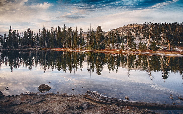 панорамна фотография на горско дърво в близост до водоем, природа, езеро, вода, дървета, гора, отражение, HD тапет