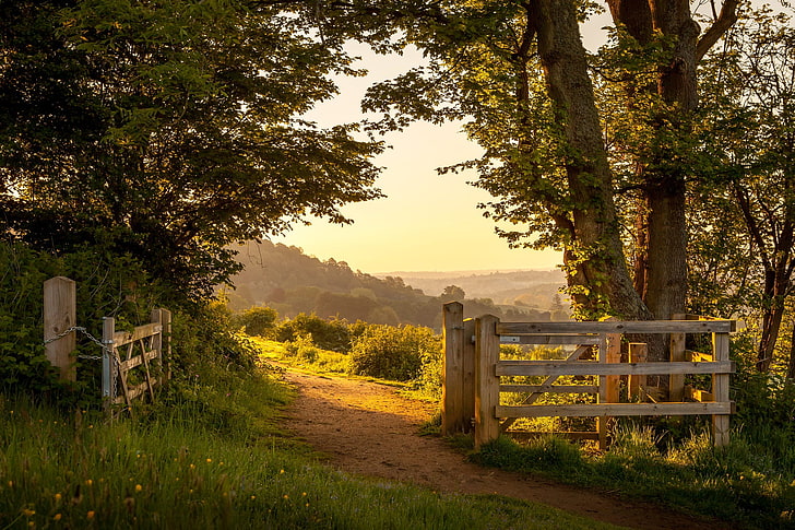 nature, landscape, England, summer, lights, trees, plants, gates, HD wallpaper
