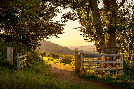 nature, landscape, England, summer, lights, trees, plants, gates, HD wallpaper HD wallpaper