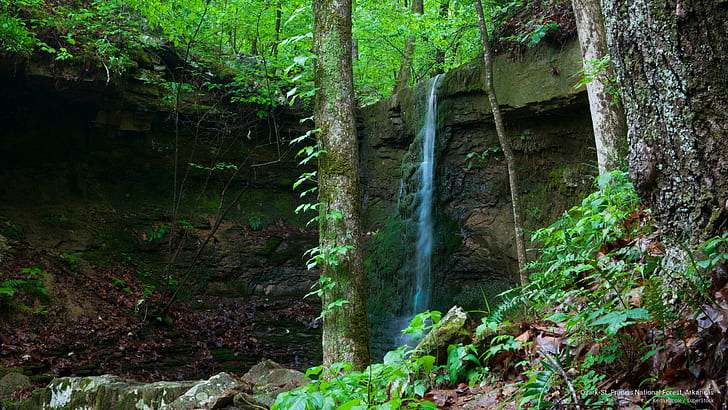 Ozark-St. Francis National Forest, Arkansas, Waterfalls, HD wallpaper