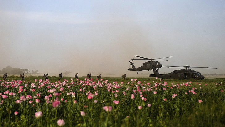 tanaman daun hijau dan merah, militer, helikopter, tentara, Angkatan Darat Amerika Serikat, pesawat militer, Sikorsky UH-60 Black Hawk, Wallpaper HD