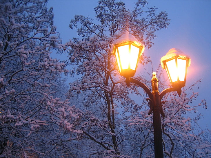 黒い街灯、ランタン、冬、雪、光、木、 HDデスクトップの壁紙