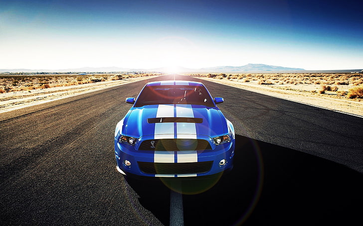 blue and white Ford Mustang, car, HD wallpaper