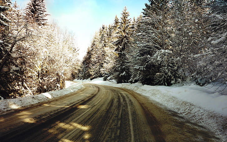 Śnieżna ścieżka, śnieg, ścieżka, Tapety HD