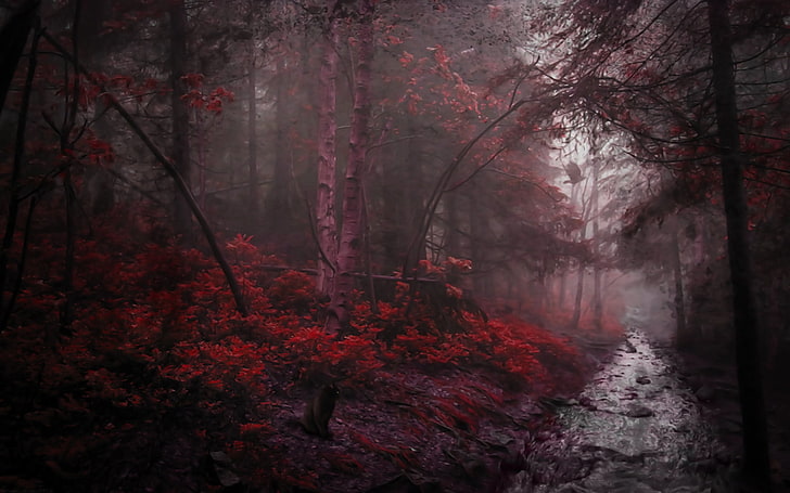 trees and red plants, red, trees, black cats, river, crow, HD wallpaper