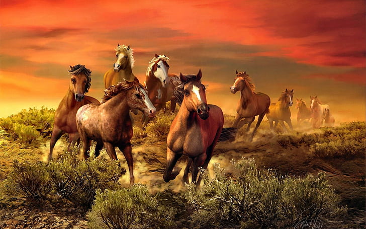 The Wild Bunch, herd of horse, lovely, meadow, nice, fiery, wilderness, grass, beautiful, ride, field, fire, brown, clouds, nature, HD wallpaper
