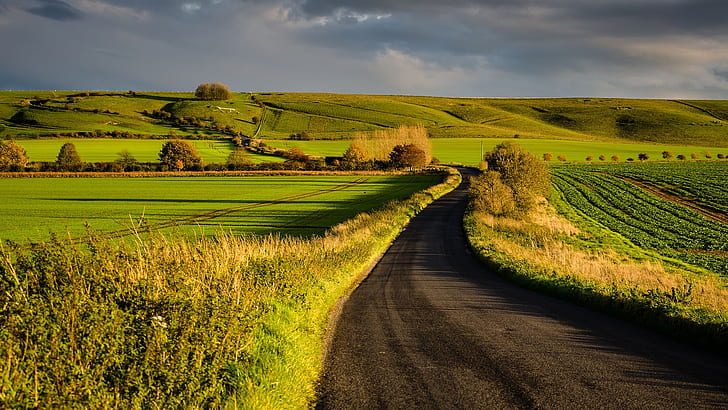 landscape, nature, UK, Wiltshire, fall, plants, England, afternoon, sunset, Marlborough, field, hill, HD wallpaper