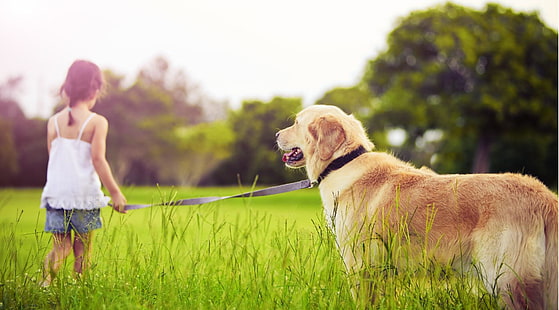 Mädchen mit golden retriever-Hund, erwachsener golden retriever, Baby, Garten, Hund, HD-Hintergrundbild HD wallpaper