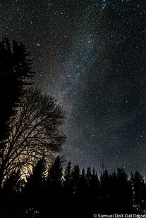 المجرة والنجوم وعلم الفلك والمجرة، خلفية HD HD wallpaper