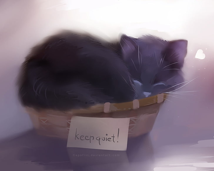 черна котка спи в кошница цифрови тапети, животни, котка, спане, писане, текст, котешки, кошници, хартия, HD тапет