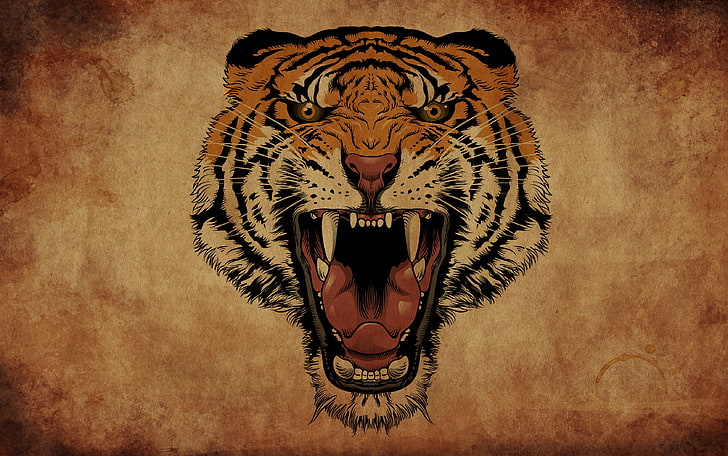 tiger angry face illustration, tiger, background, mouth, fangs, roar, HD wallpaper