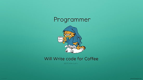 Logo del programmatore, tecnologia, programmazione, codificatore, Garfield, umorismo, Sfondo HD HD wallpaper
