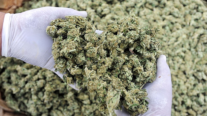 Фото марихуана приколы цены на марихуану в омске