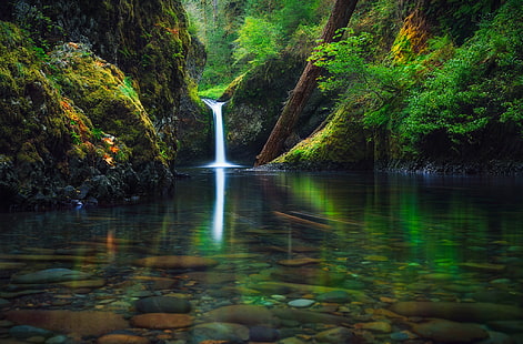 зелени листни дървета, есен, гора, река, водопад, Орегон, САЩ, щат, септември, HD тапет HD wallpaper