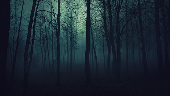 alberi raccapriccianti nebbia scura della foresta 1920x1080 natura alberi arte HD, alberi, raccapricciante, Sfondo HD HD wallpaper