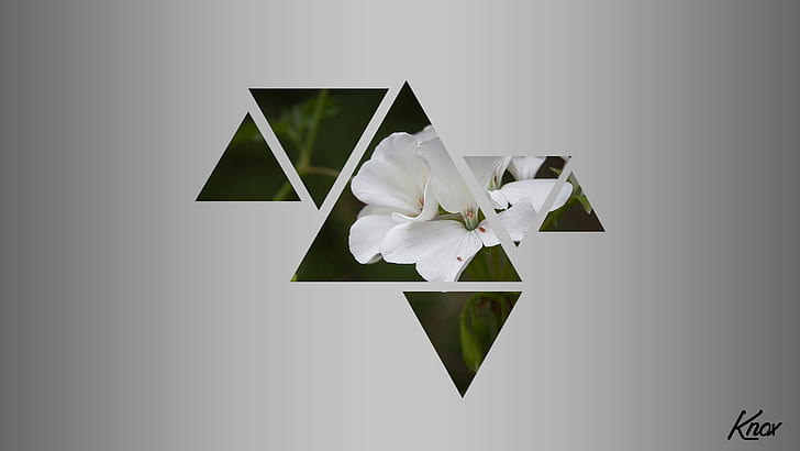 nature, distortion, triangle, flowers, simple background, HD wallpaper
