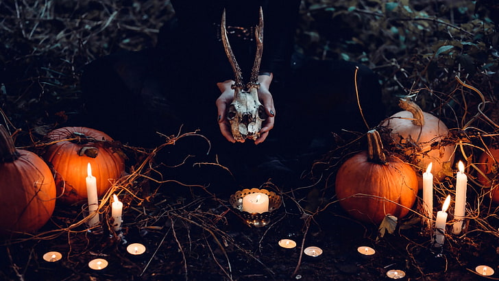 halloween 2016, pumpkins, skull, candles, ritual, Others, HD wallpaper