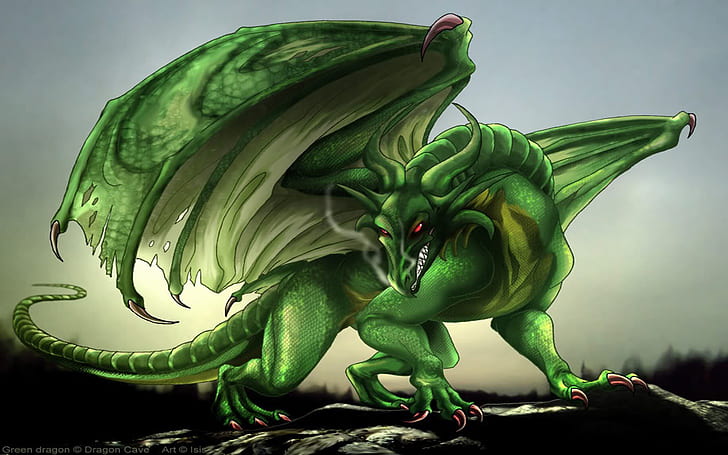 Green Dragon Fantasy Digital Art Hd Desktop Wallpaper, HD wallpaper