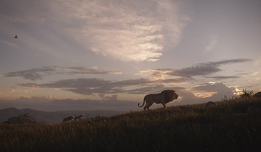 Film, Le Roi Lion (2019), Mufasa (Le Roi Lion), Nala (Le Roi Lion), Simba, Fond d'écran HD HD wallpaper