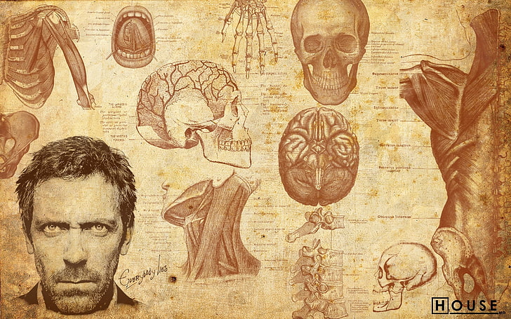 House digital wallpaper, men, artwork, Gregory House, actor, Hugh Laurie, face, skull, bones, muscles, brain, medicine, people, spine, HD wallpaper