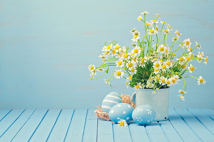 chamomile, eggs, Easter, HD wallpaper