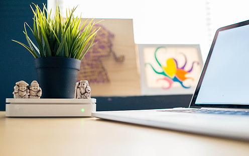 Biuro laptopa świeżych zielonych roślin, Tapety HD HD wallpaper